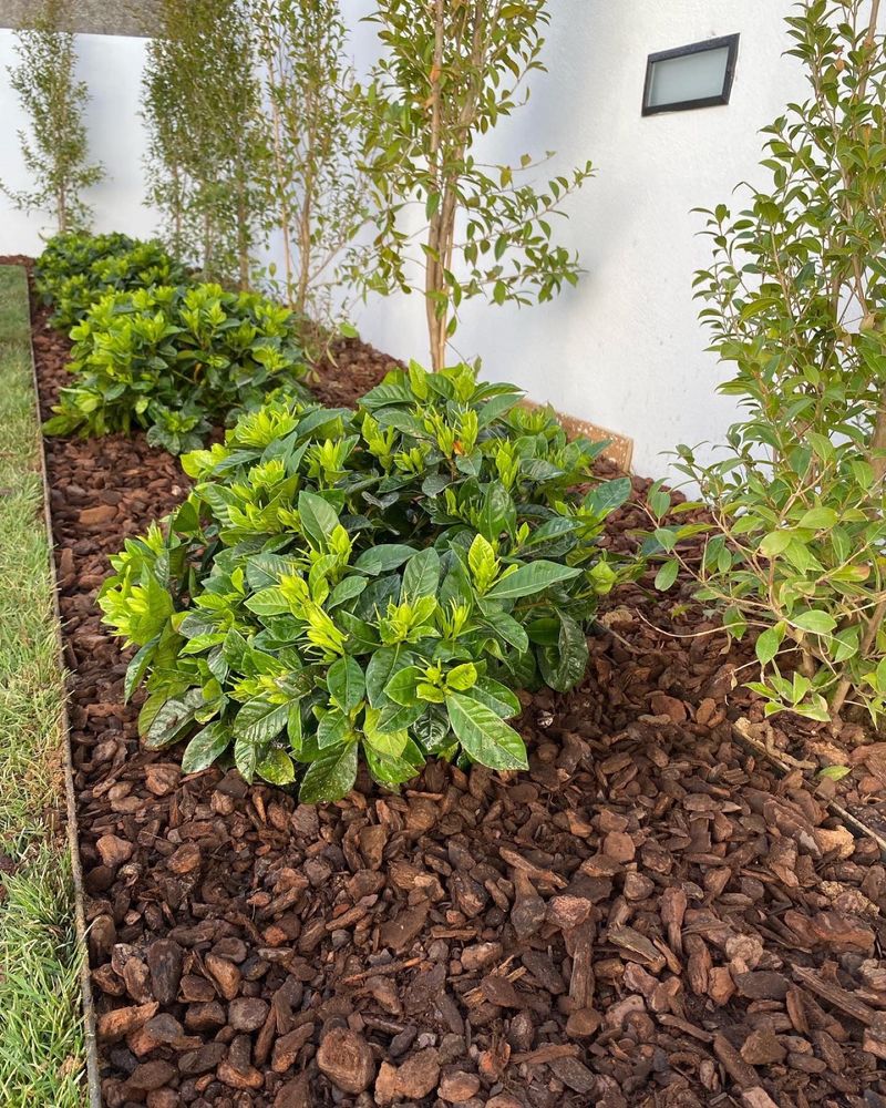 Criação e manutencao de jardins - ARCOMADEIRAS UNIPESSOAL LDA