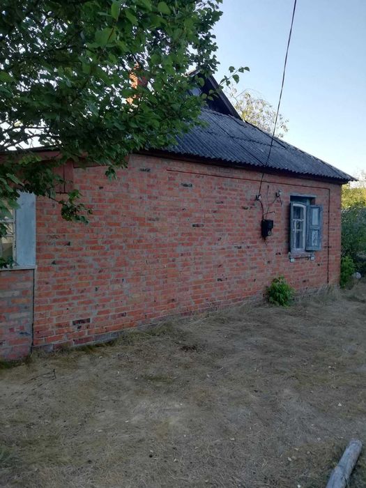 Продається уютний будинок біля лісу в с. Деревки.