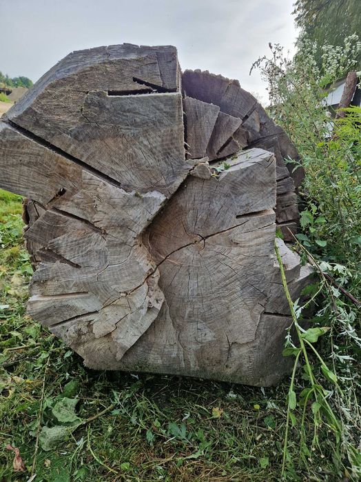 Kłoda Jesion Dąb  drzewo duże deski