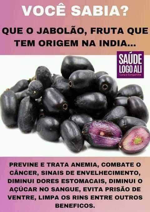 Jambolão - Jambo Amarelo