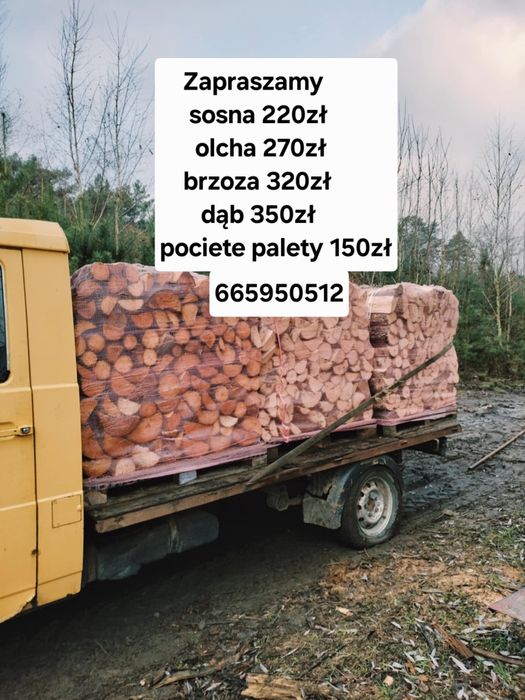 Drewno opałowe dąb brzoza