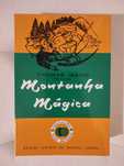 Thomas Mann Montanha Magica (Novo)