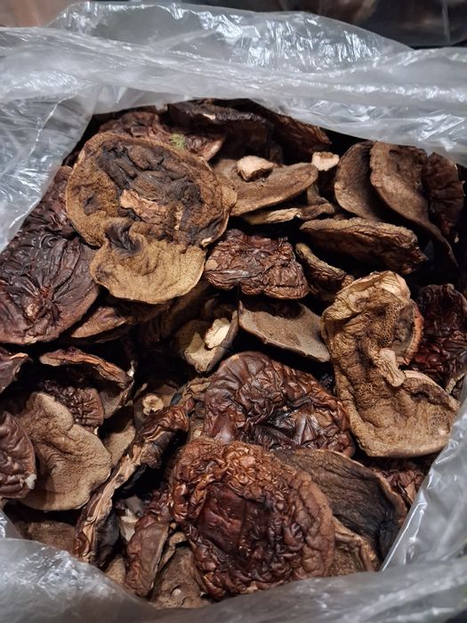 Podgrzybki suszone, kapelusze 600g