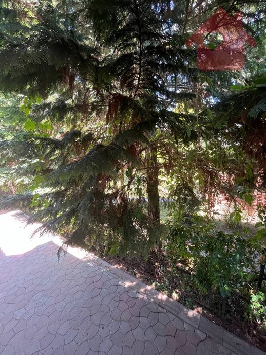 Продаж будинку в Сторожниці