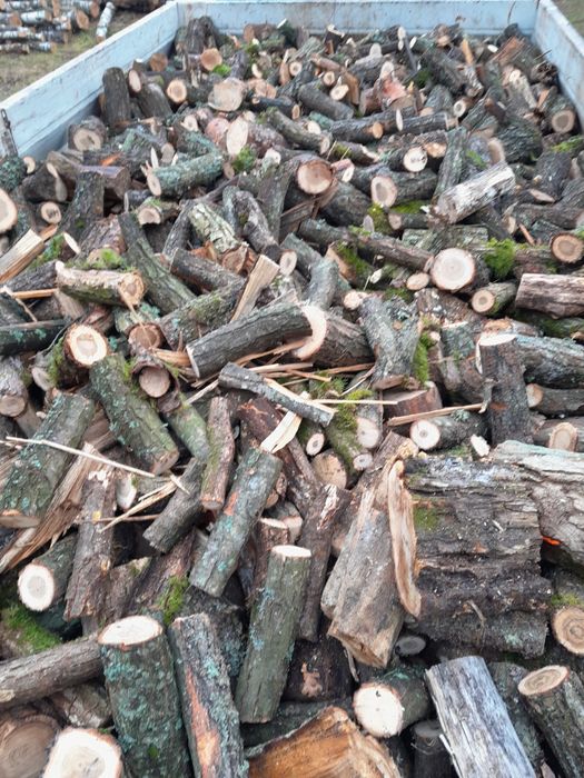 Drewno opałowe od 170zl za 1mp