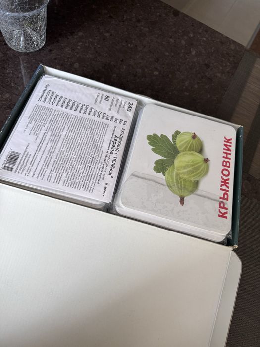 Подарунковий набір карток Домана «ВЕЛИКА ВАЛІЗА» Рос