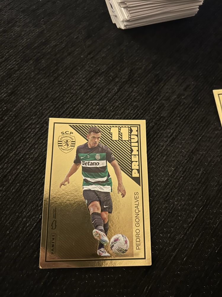 Cromos caderneta 24/25
