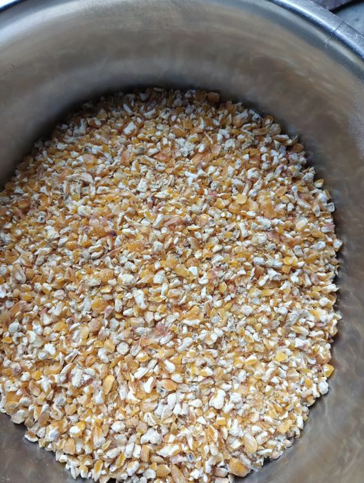 Kukurydza sucha drobna