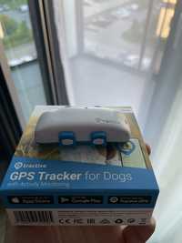Lokalizator Tractive GPS dla psa/kota
