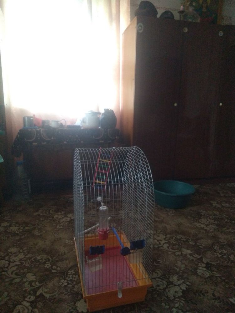 Клітка для папуги