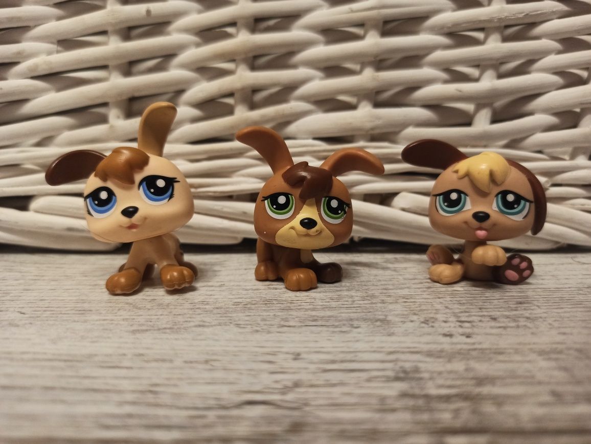 Littlest Pet Shop zestaw pieski szczeniaczki używane unikat