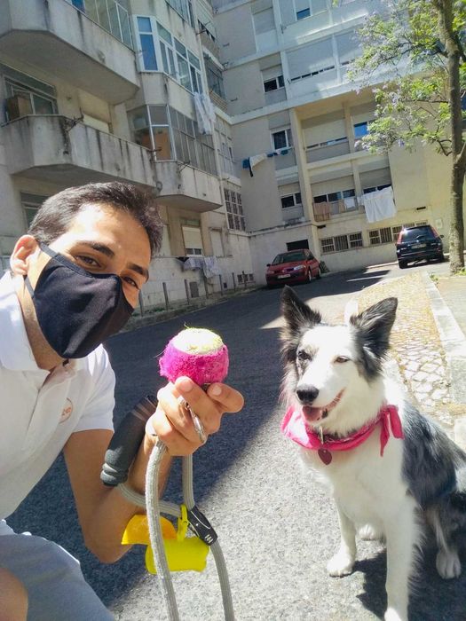 Dog Walking | Pet Sitting | Passear cães | Dogwalker | Almada