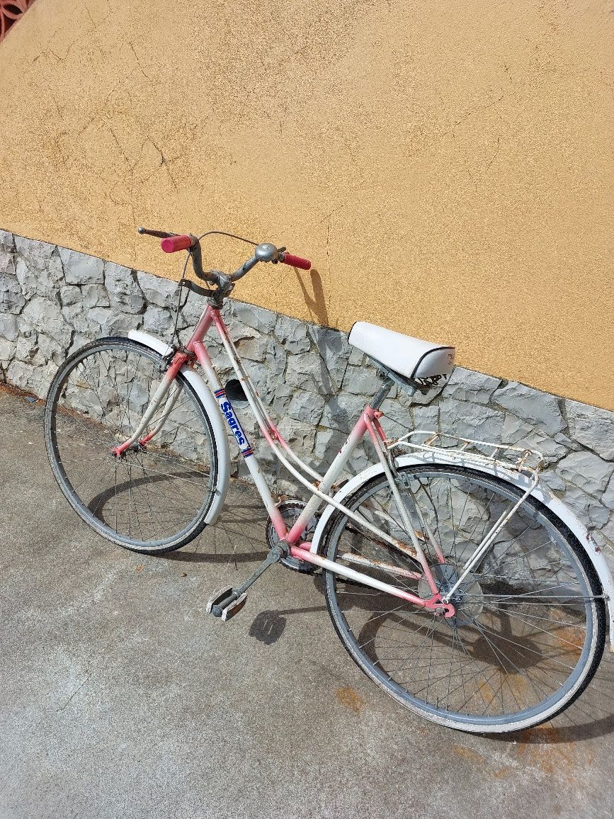 Pasteleira bicicleta