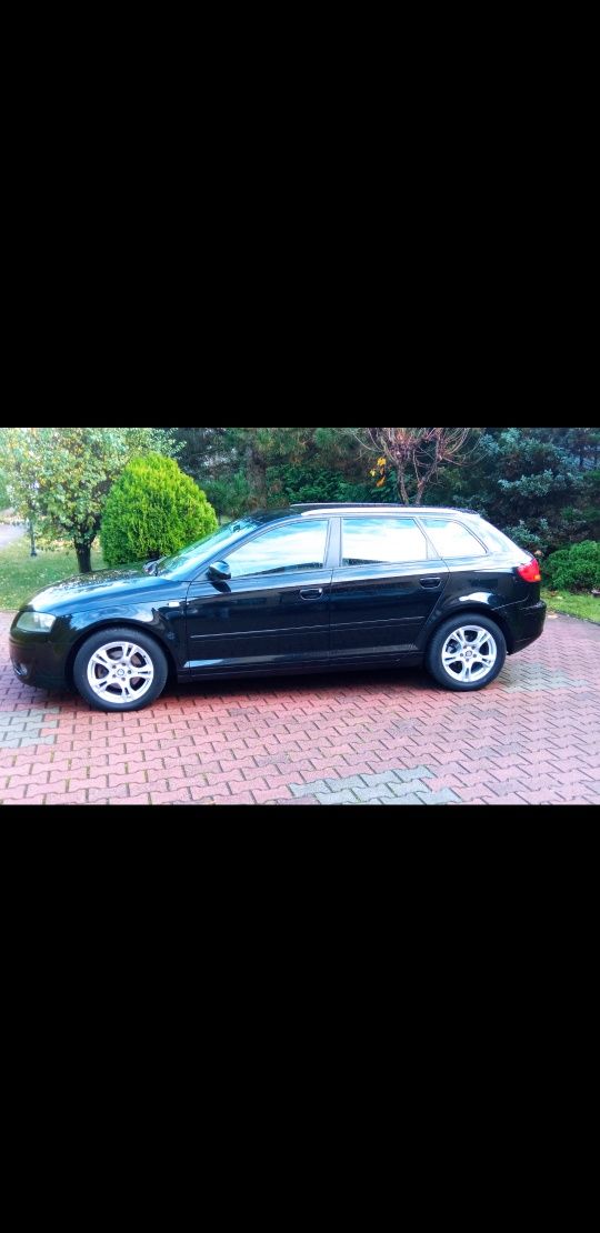 Audi a3 8p 1.6 Mpi