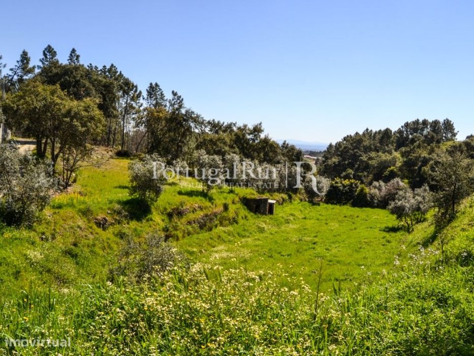 Terreno em Proença-a-Nova