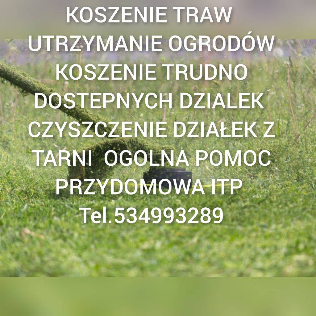 Koszenie traw usługa rebakiem