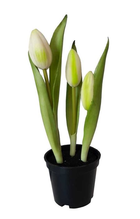Tulipan w doniczce sztuczne tulipany silikonowe w osłonce kolory
