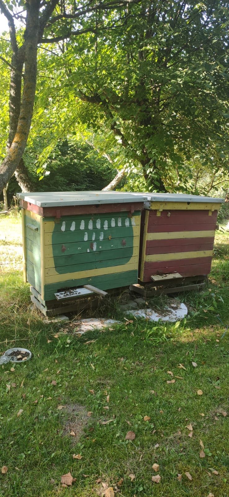 Ule Warszawskie poszerzane z rodziną mazury