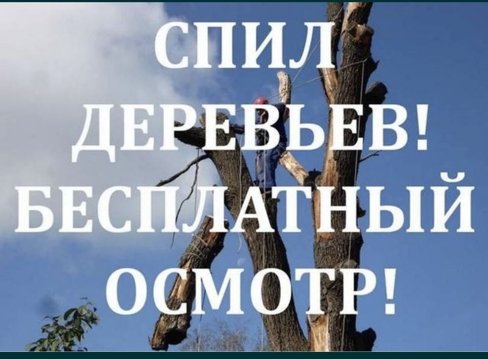 Спил деревьев по Лозовой и Лозовскому району