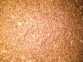 Пшениця біля 7-8 тонни