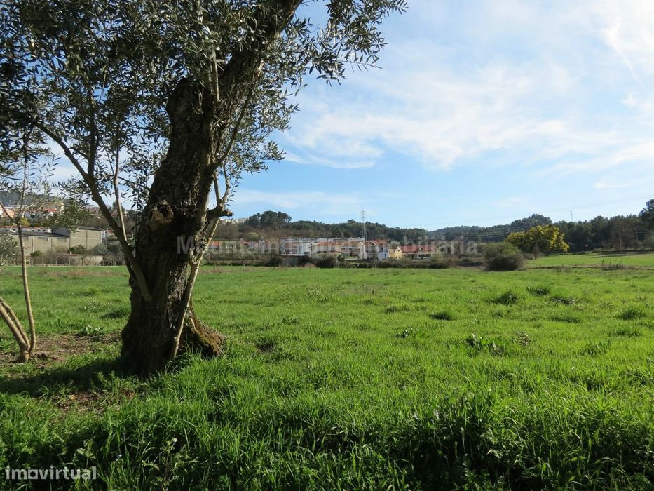 Terreno  Venda em Seia, São Romão e Lapa dos Dinheiros,Seia