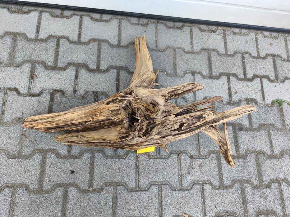 Korzeń do akwarium nr 1