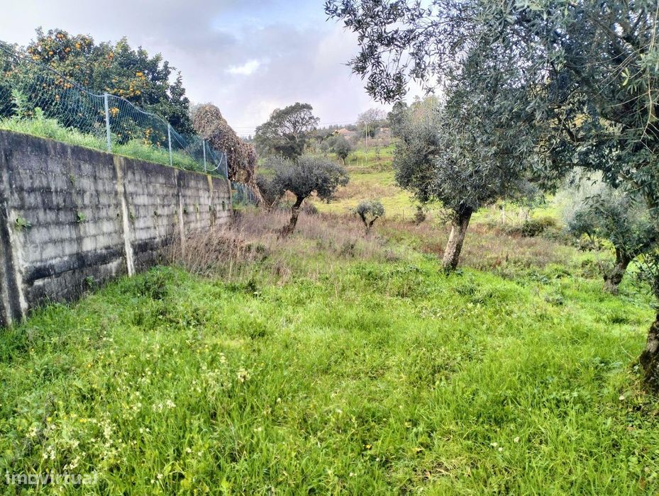 Terreno em Beco - Ferreira do Zêzere