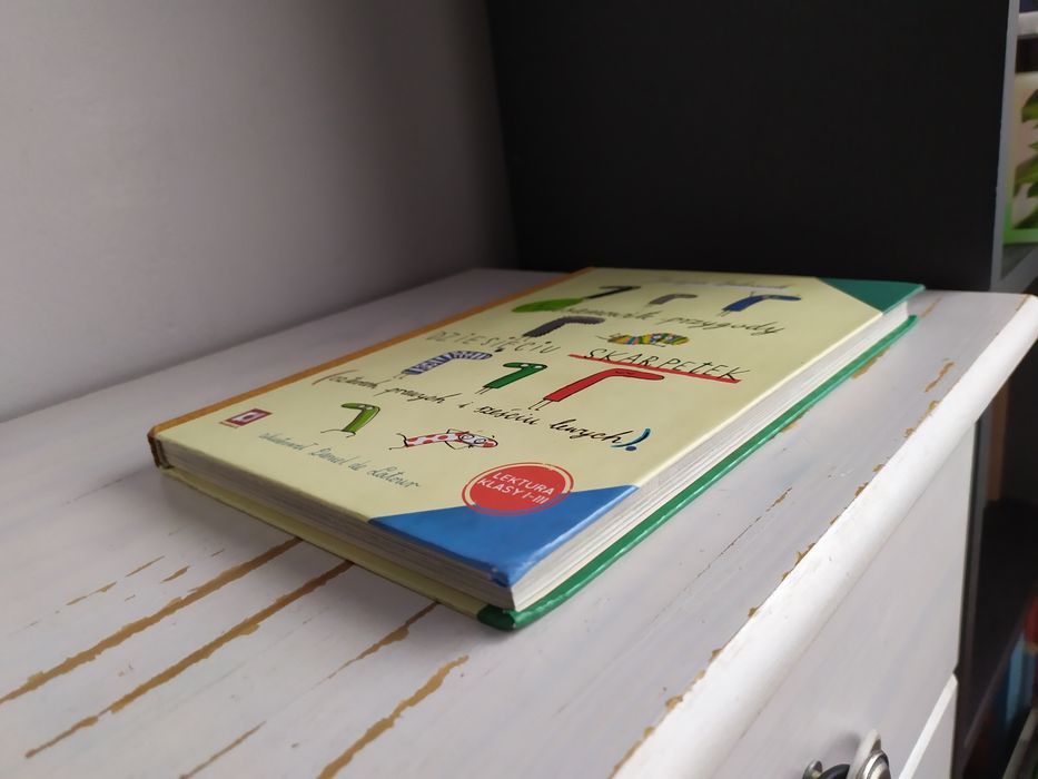 Niesamowite przygody dziesięciu skarpetek. Justyna Bednarek