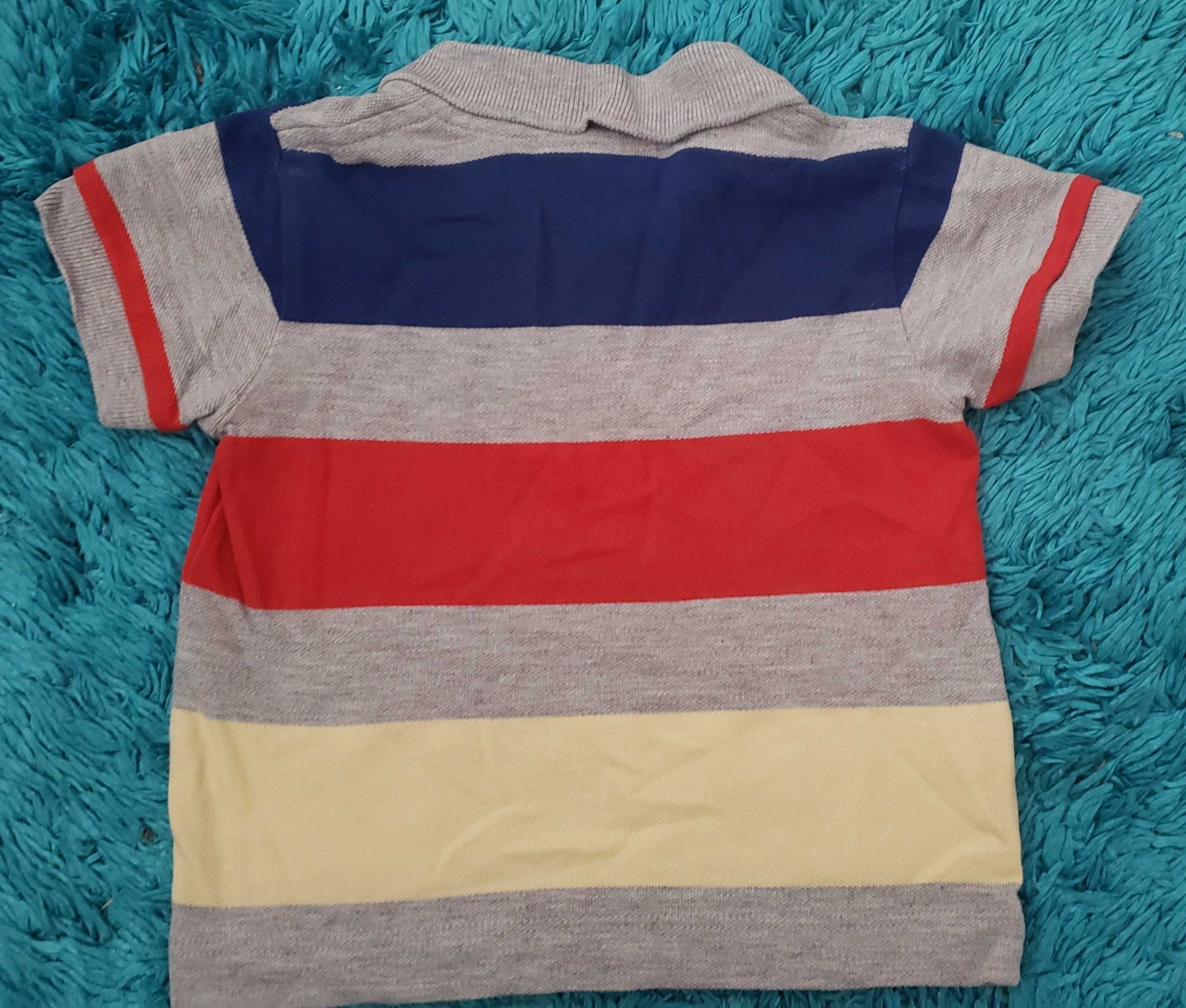 Polo lacoste criança 1 ano