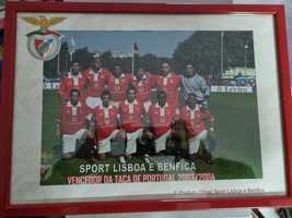 SLB Quadro do Benfica