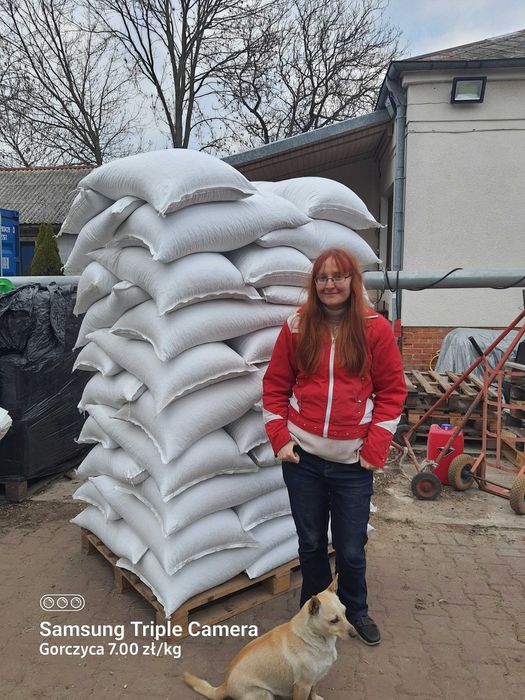 LUCERNA sorgo BÓB bobik łubin peluszka groch koniczyna rzodkiew płużna