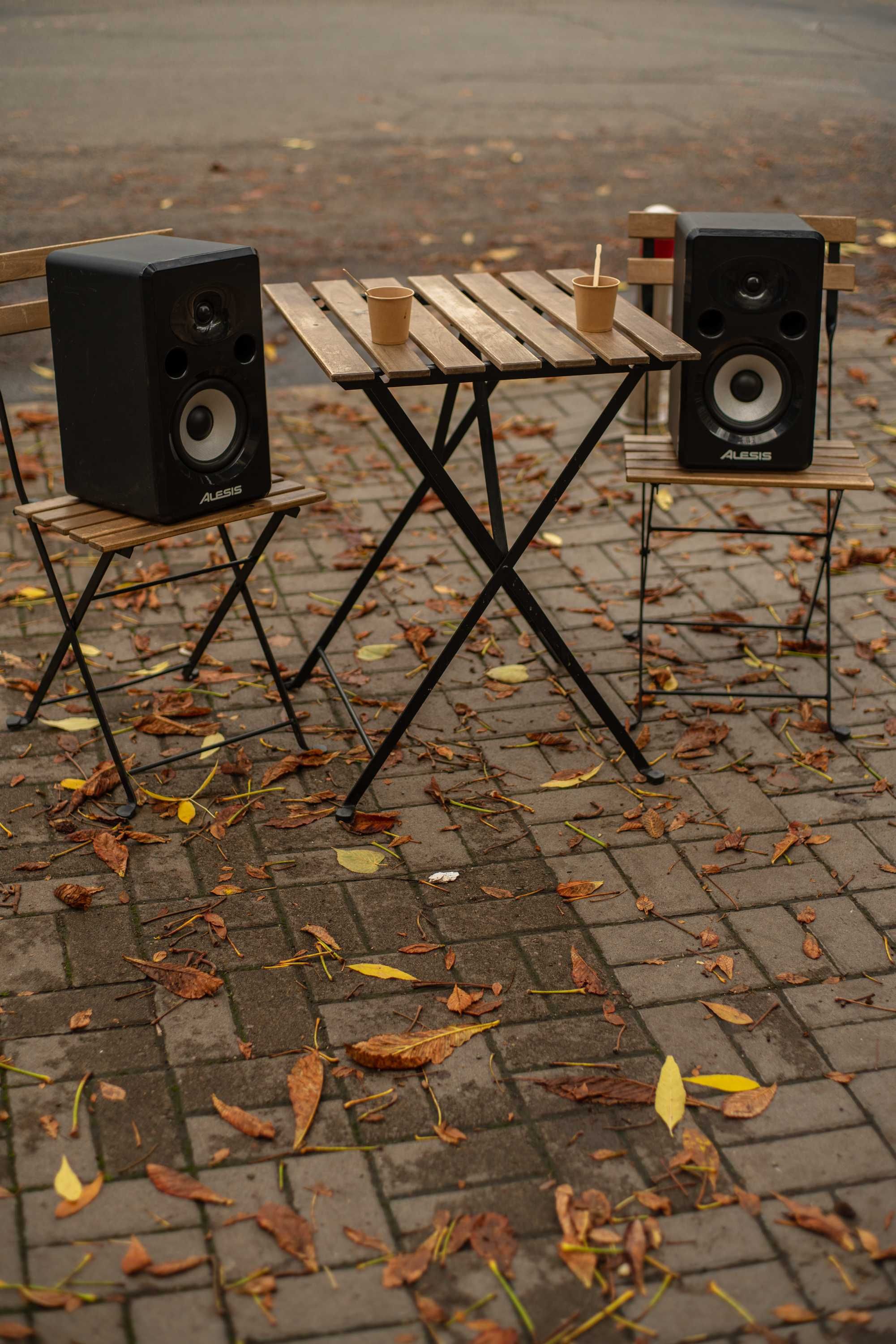 Студійні активні монітори Alesis Elevate 6 (ціна за пару)