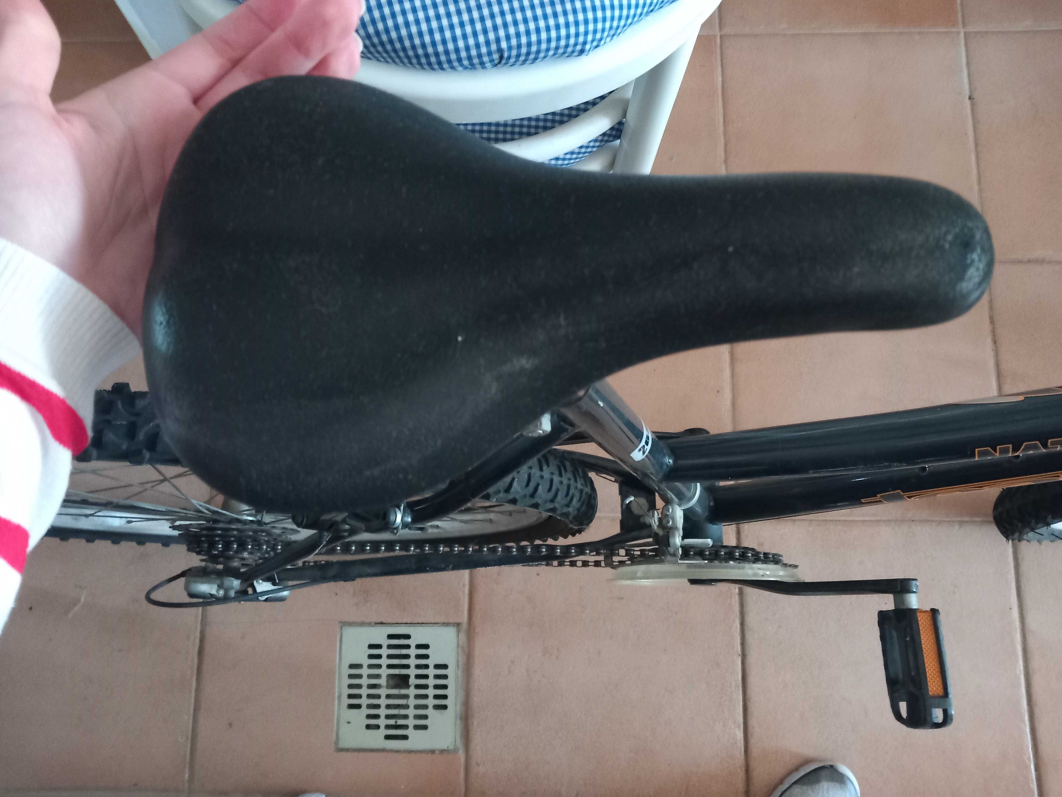 Bicicleta Nature team 200