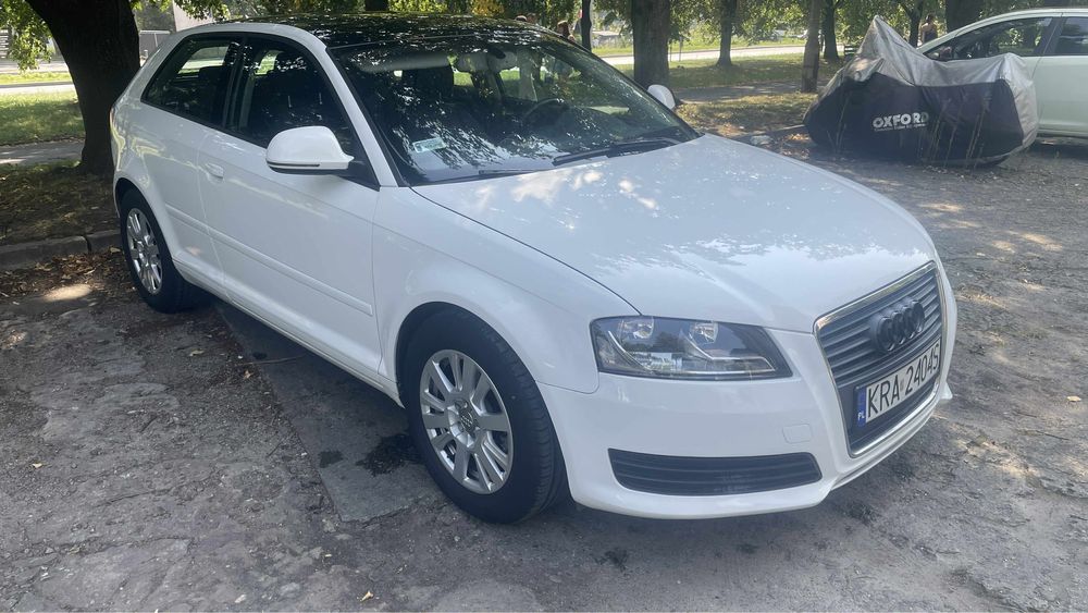 Audi a3 8p 2.0TDI