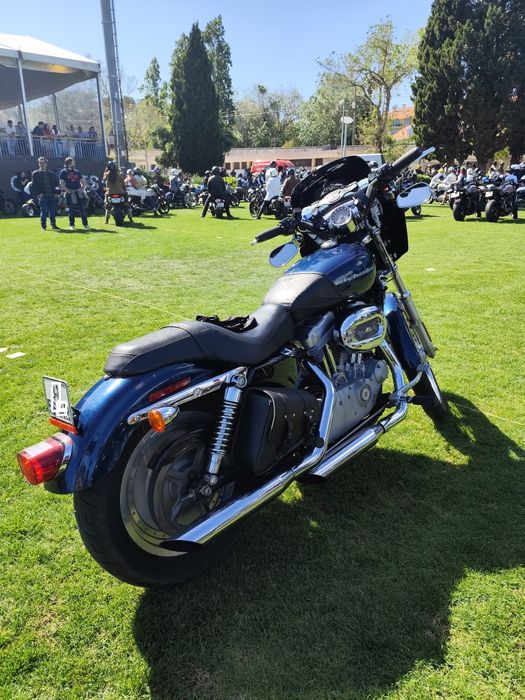 Harley Davidson sportster xl custom
