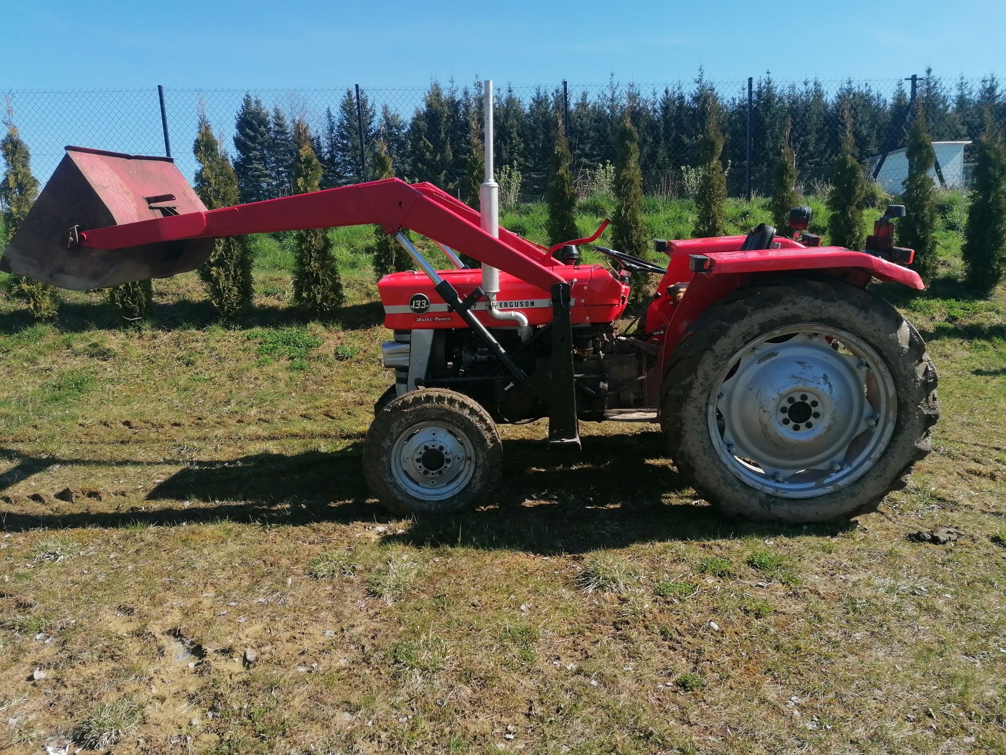 Massey Ferguson 133 (245/255)