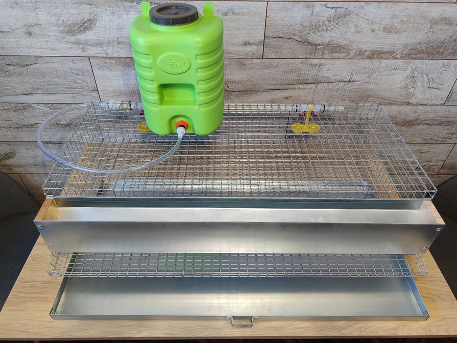 Клітка для перепелів