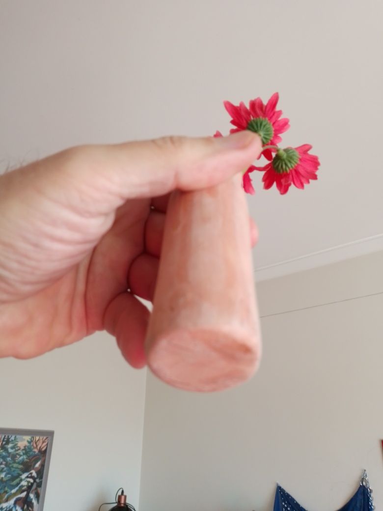 Abaixo! Acima! Regador das plantas da amizade - 5E -Planta 2E Desde 2E