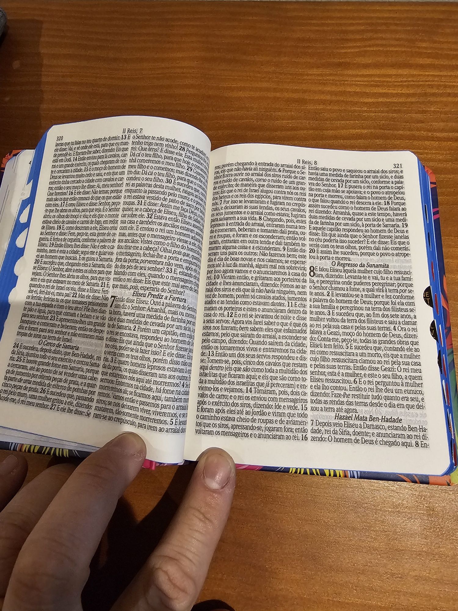 Biblia Sagrada com Harpa avivada e corinhos