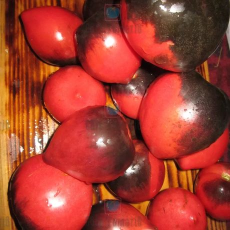 Насіння томатів 280 сортів
