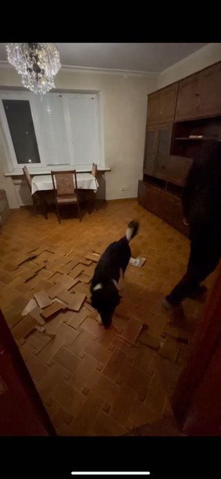 Паркет б/у дубовый