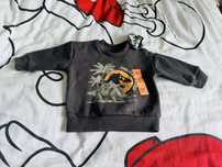 Bluza Dinozaur Jurassic World 3-6 m 68 cm