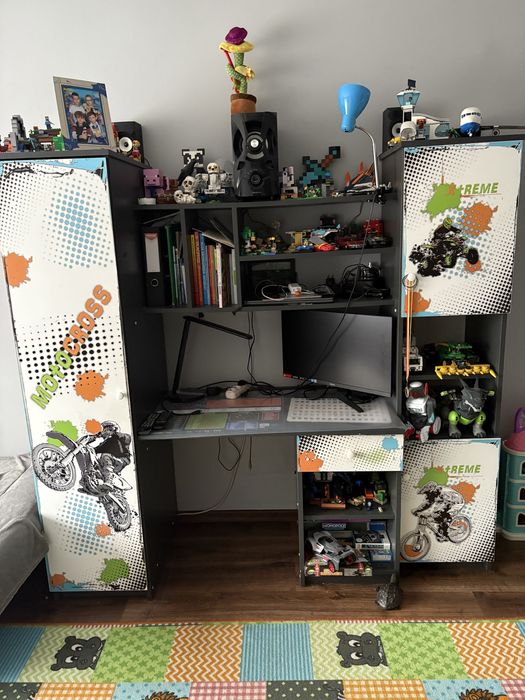 Mebloscianka chlopieca