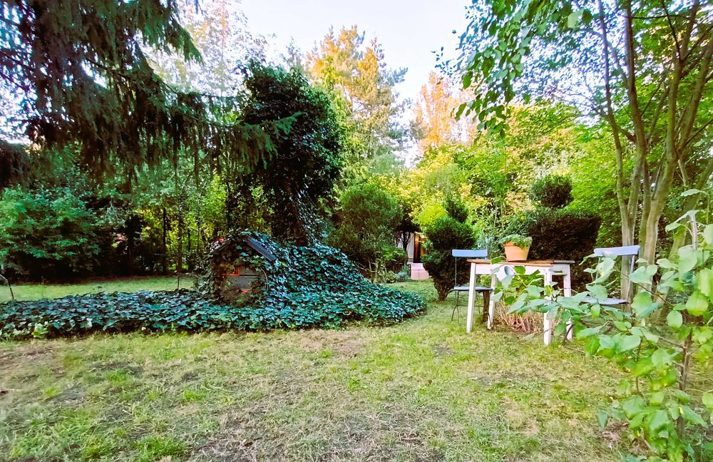 Działka ROD Bogdanka - Poznań