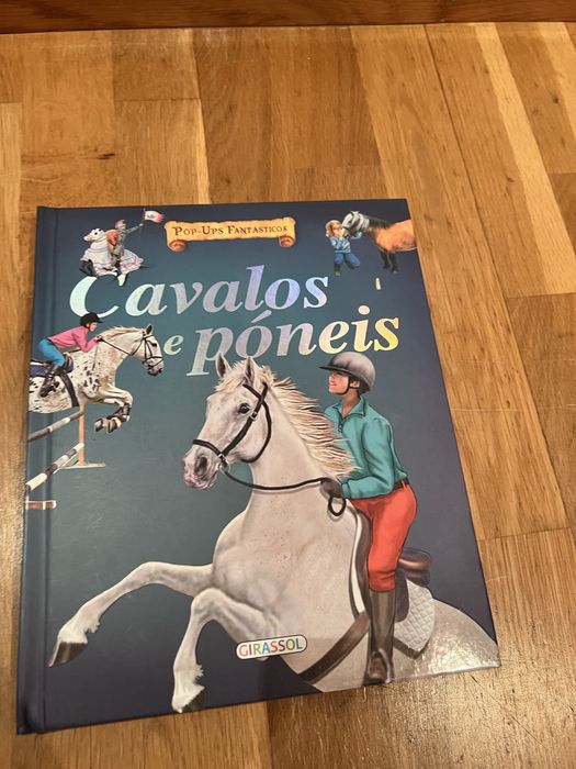 Cavalos e póneis