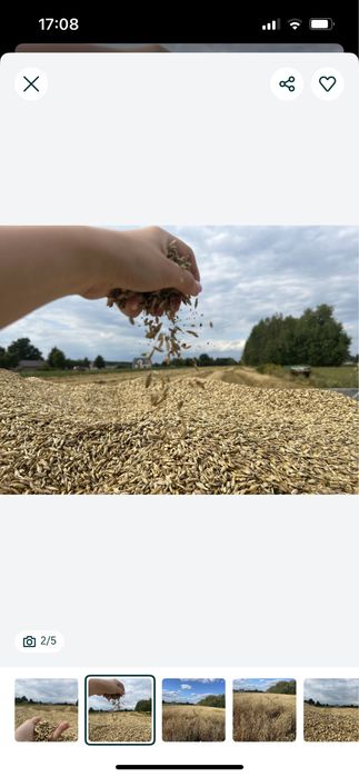 60 kg dla Pani małopolska