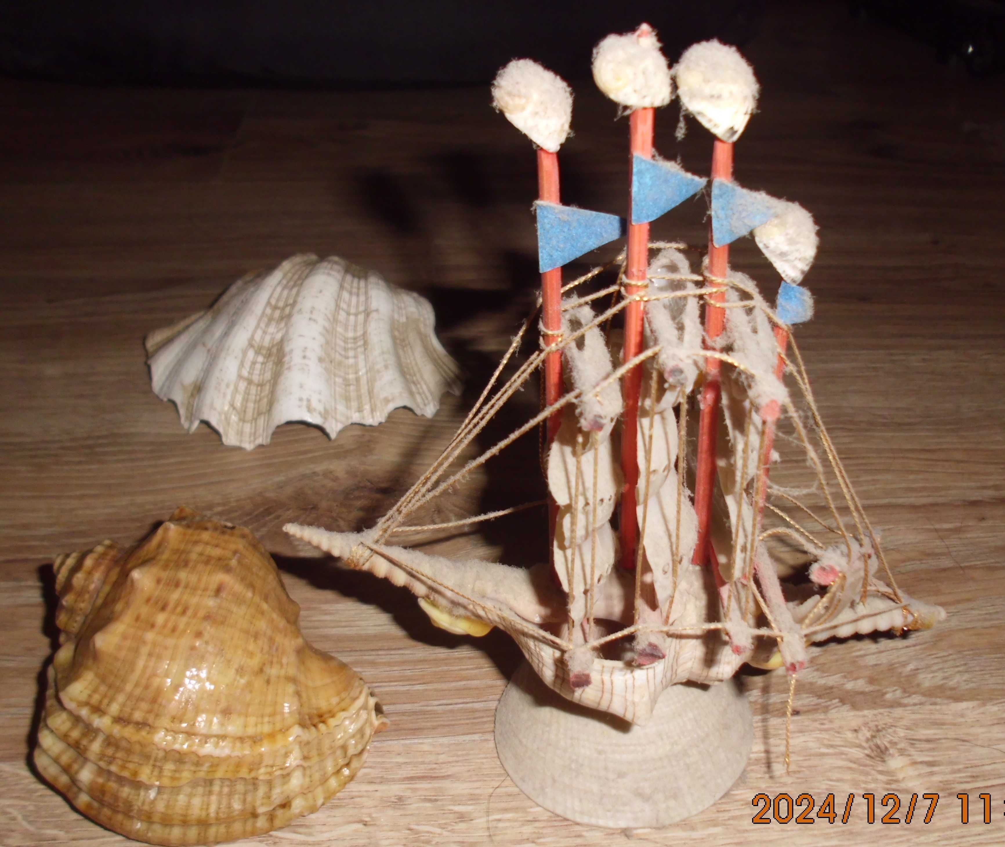 28zł muszle x2 biała 14cm... i statek z muszelek 16.5cm do akwarium...