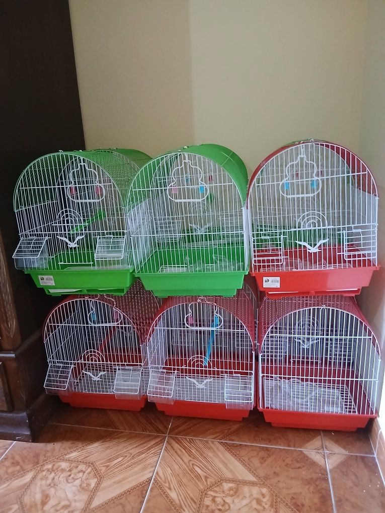 Vendo gaiolas para passaros
