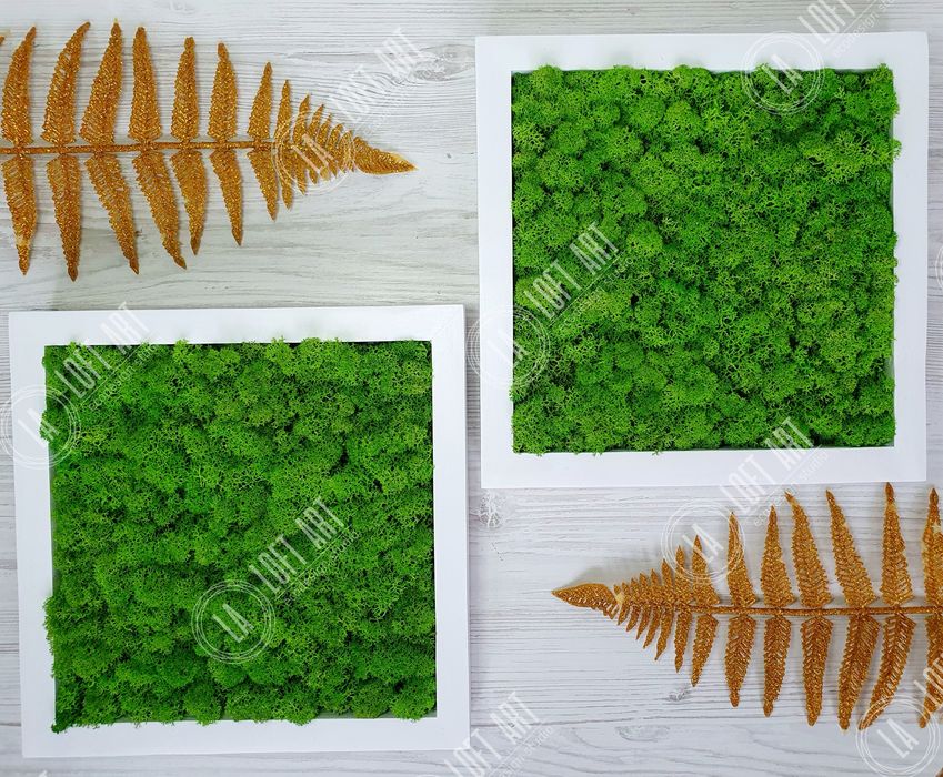 Картина из мха, Фитокартина, Панно со мхом, Настенный декор