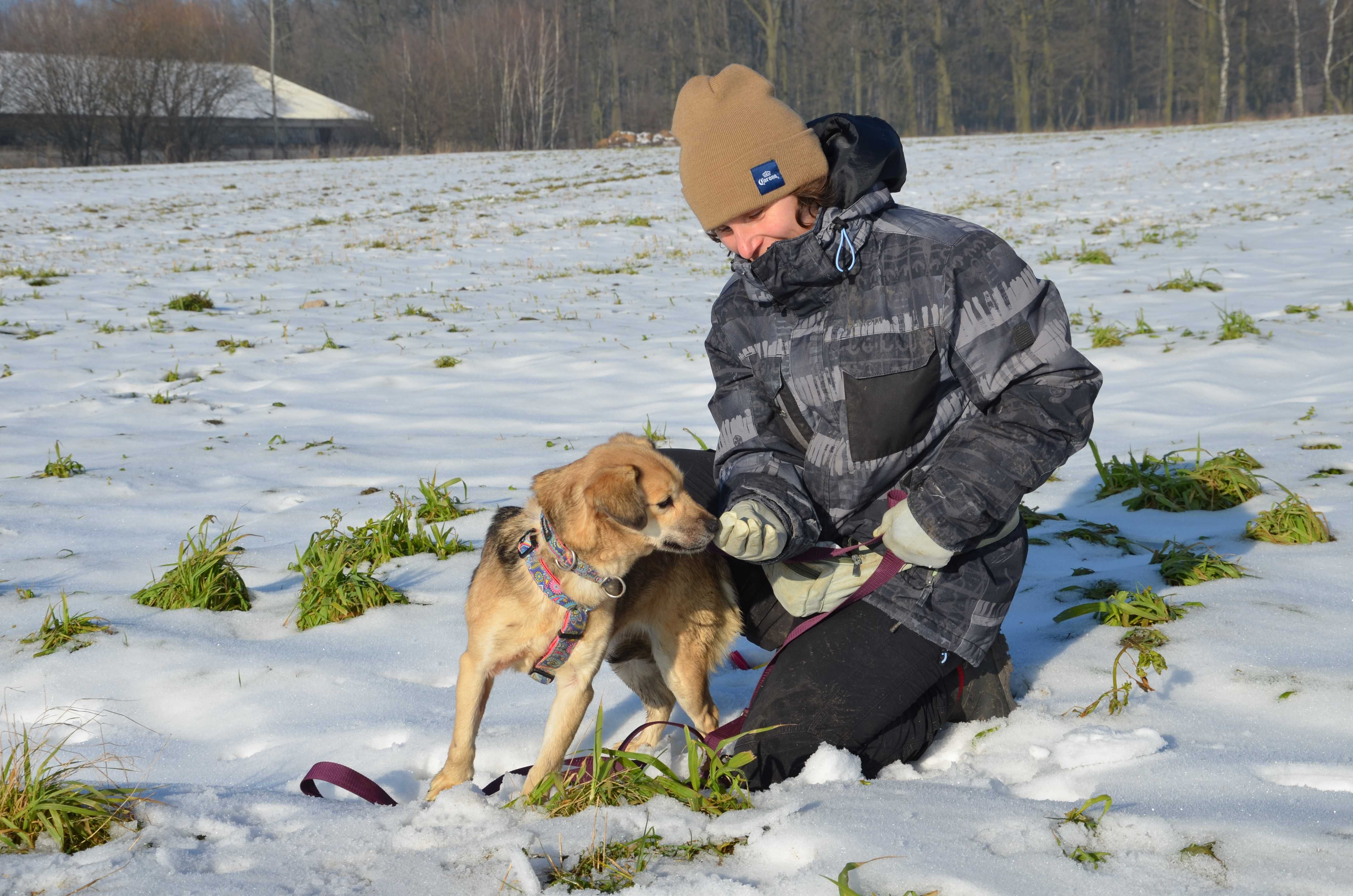 Spacja - mała, sunia, szukająca swego domu i człowieka - do adopcji.
